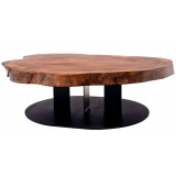 ANC Wood slab series Coffee table Walnut z4m