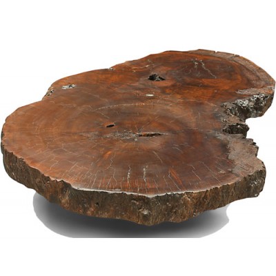 ANC Wood slab series Coffee table Imbuia 1
