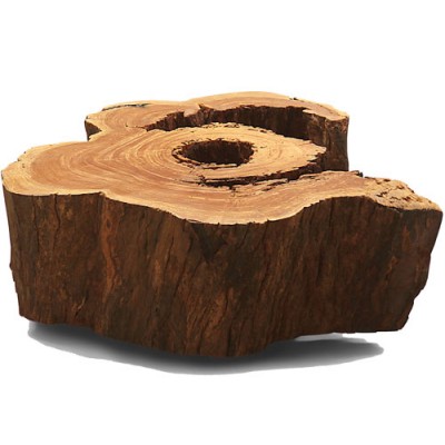 ANC Wood slab series Coffee table Organic Solid Salvaged 1