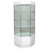 CS Series All glass Alu Display Case 5501