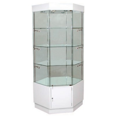 CS Series All glass Alu Display Case 5501
