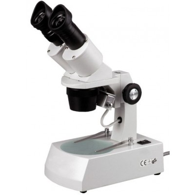 Microscope Stereo 20X-40X Binocular w/2 Halogen Lights