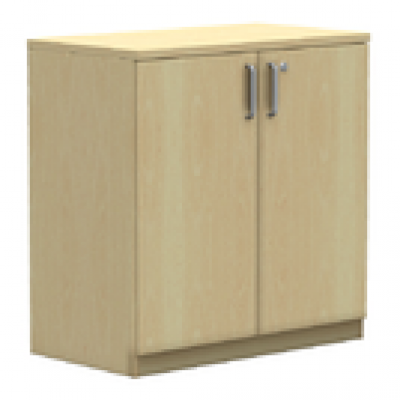 NWS Easy Series Hinged Door Cabinet H825, W800